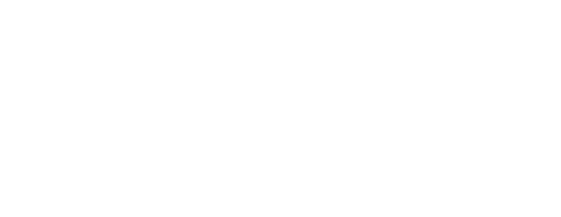 Race Chip